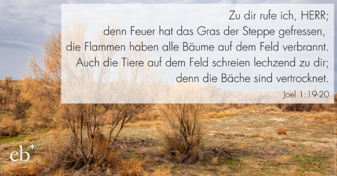 Monatslosung Mai 2025